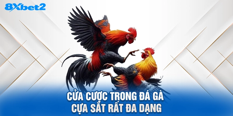 Cửa cược trong đá gà cựa sắt rất đa dạng