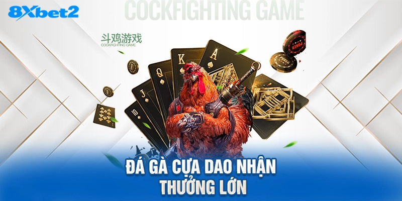 Đá gà cựa dao nhận thưởng lớn