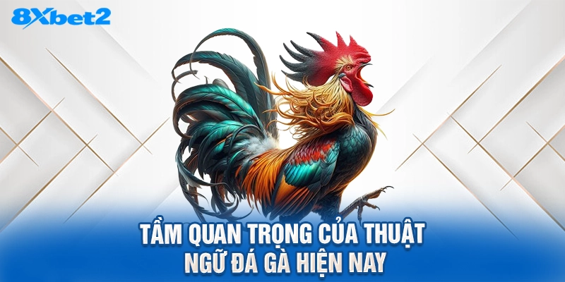 Tầm quan trọng của thuật ngữ đá gà hiện nay