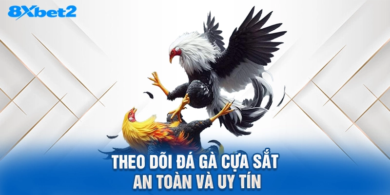 Theo dõi đá gà cựa sắt an toàn và uy tín