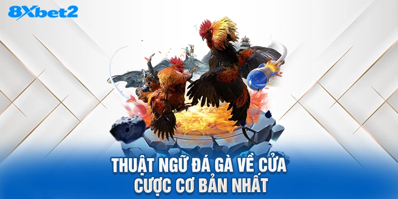 Thuật ngữ đá gà về cửa cược cơ bản nhất
