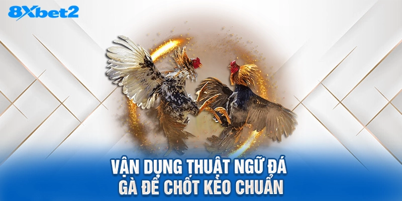 Vận dụng thuật ngữ đá gà để chốt kèo chuẩn