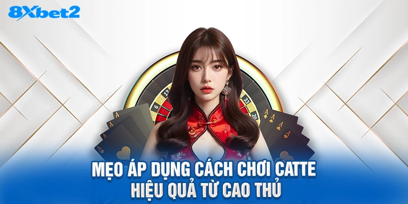 mẹo áp dụng cách chơi catte hiệu quả từ cao thủ
