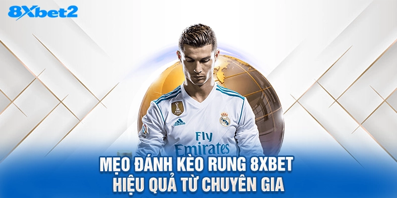 mẹo đánh kèo rung 8XBET hiệu quả từ chuyên gia
